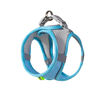 Puppy Harness Set – Adjustable Comfort & Safety for Small Dogs and Cats