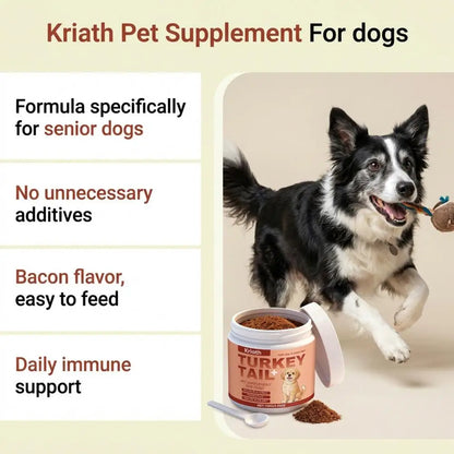 Bacon-Flavored Probiotic for Dogs – Health and Vitality