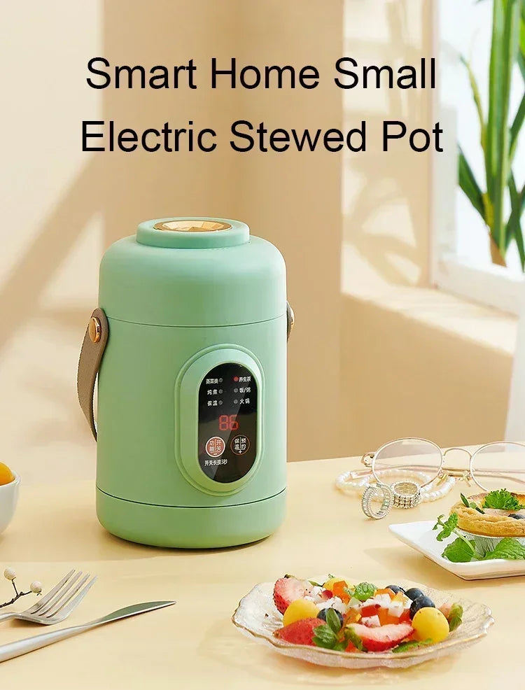 Portable mini electric rice cooker and lunchbox