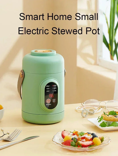 Portable mini electric rice cooker and lunchbox