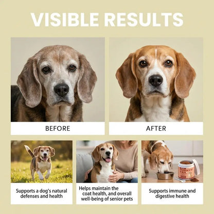 Bacon-Flavored Probiotic for Dogs – Health and Vitality