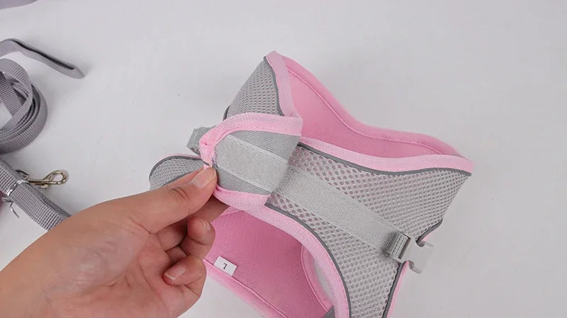 Puppy Harness Set – Adjustable Comfort & Safety for Small Dogs and Cats