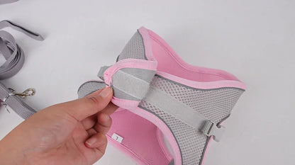 Puppy Harness Set – Adjustable Comfort & Safety for Small Dogs and Cats