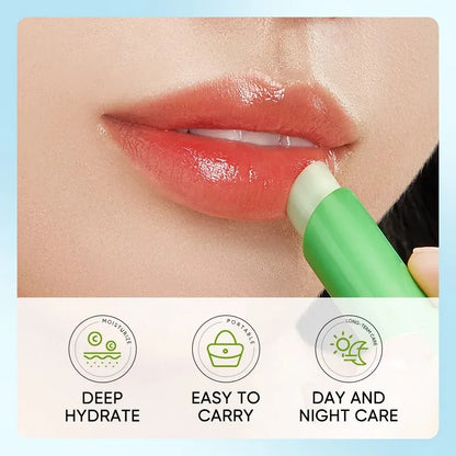 Aloe Lip Care Balm