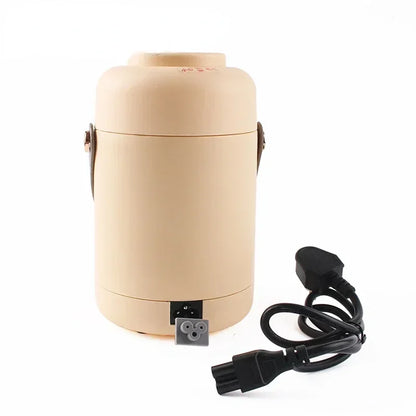 Portable mini electric rice cooker and lunchbox
