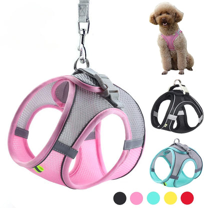 Puppy Harness Set – Adjustable Comfort & Safety for Small Dogs and Cats