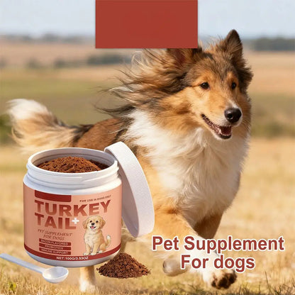Bacon-Flavored Probiotic for Dogs – Health and Vitality