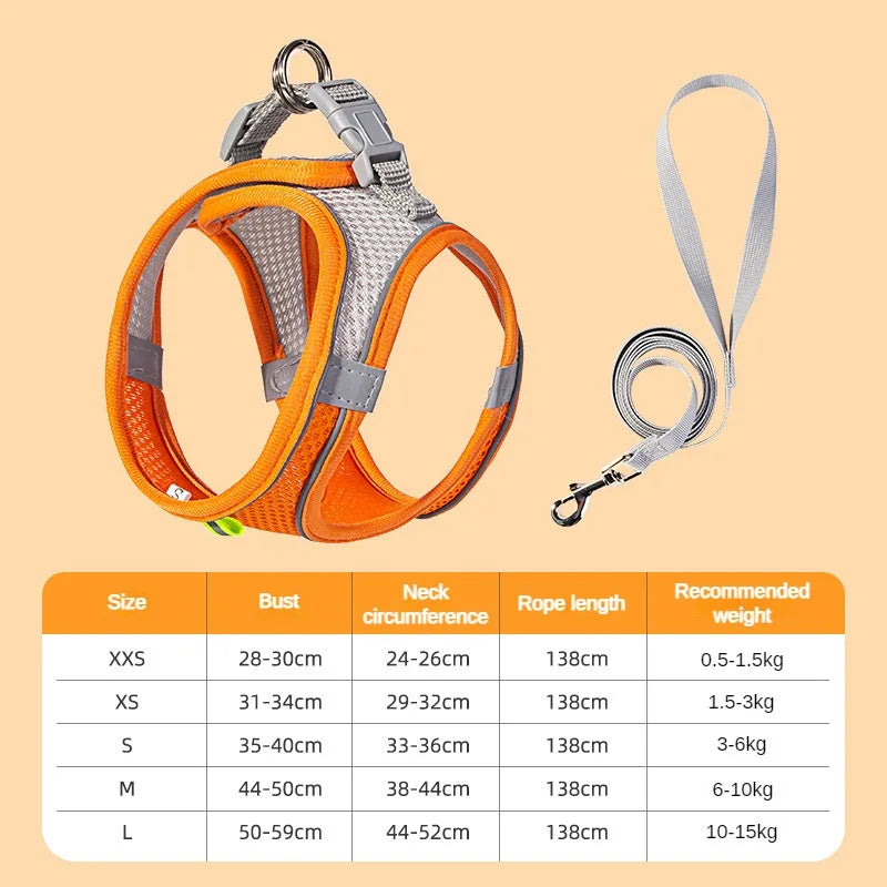 Puppy Harness Set – Adjustable Comfort & Safety for Small Dogs and Cats
