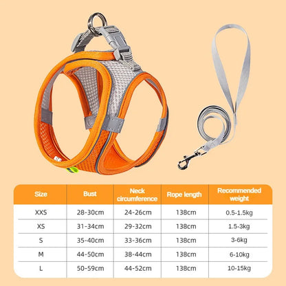 Puppy Harness Set – Adjustable Comfort & Safety for Small Dogs and Cats