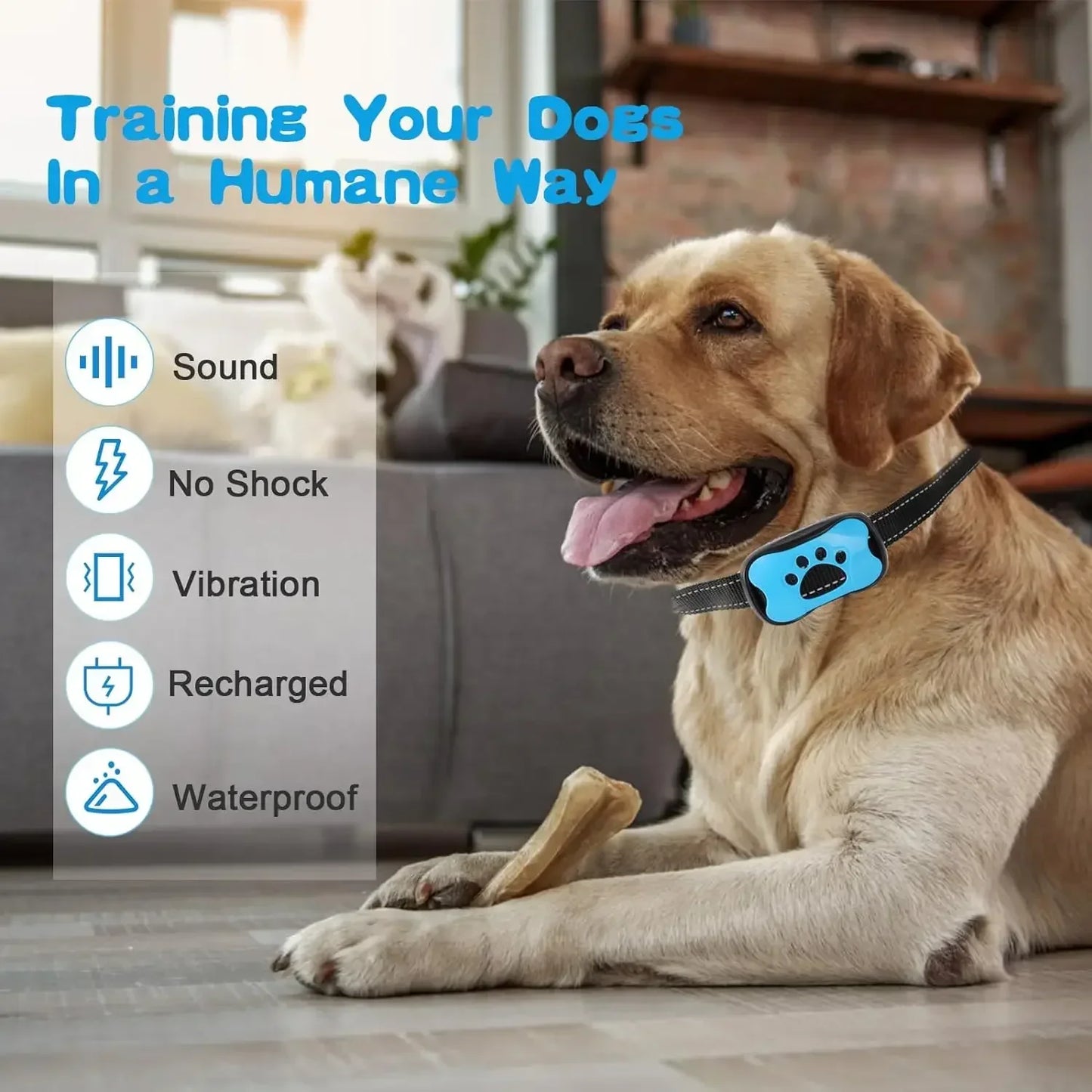 Smart Ultrasonic Anti-Bark Training Collar