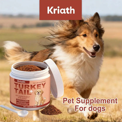 Bacon-Flavored Probiotic for Dogs – Health and Vitality