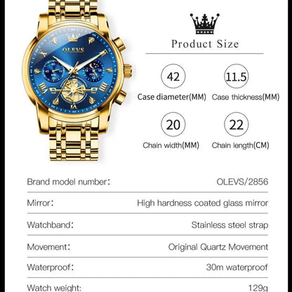 Luxury Moonphase Roman Dial Watch