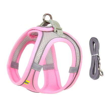 Puppy Harness Set – Adjustable Comfort & Safety for Small Dogs and Cats