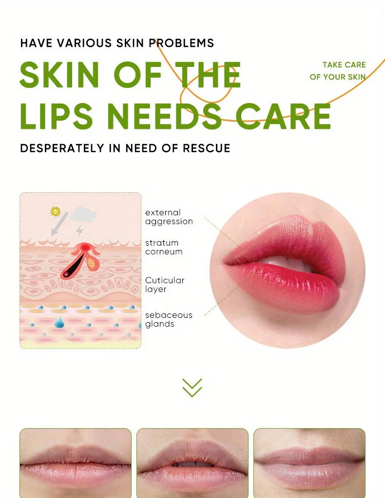 Aloe Lip Care Balm
