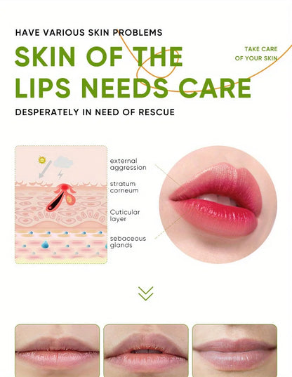 Aloe Lip Care Balm