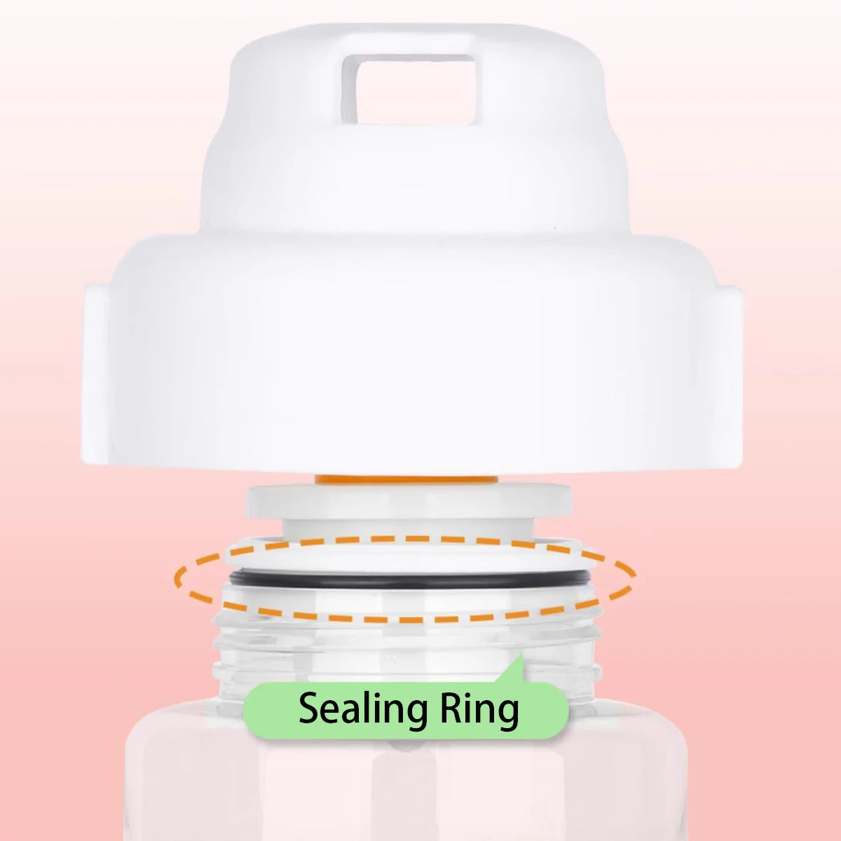 Portable Pet Water & Food Bottle