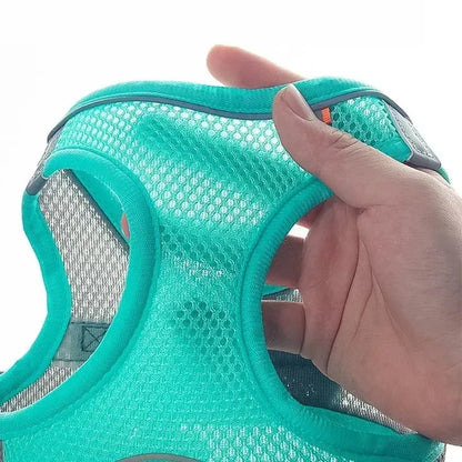 Puppy Harness Set – Adjustable Comfort & Safety for Small Dogs and Cats