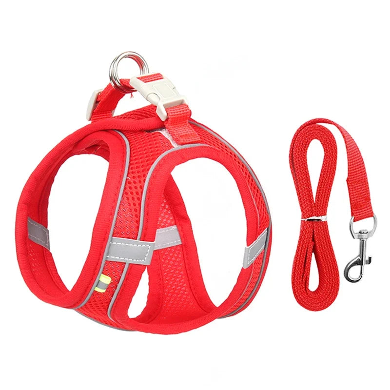 Puppy Harness Set – Adjustable Comfort & Safety for Small Dogs and Cats