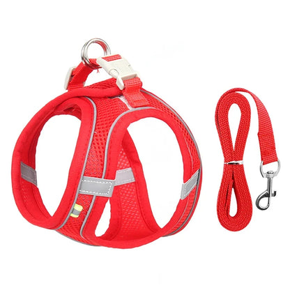 Puppy Harness Set – Adjustable Comfort & Safety for Small Dogs and Cats