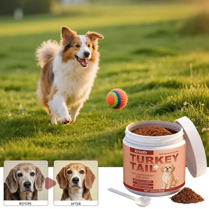 Bacon-Flavored Probiotic for Dogs – Health and Vitality