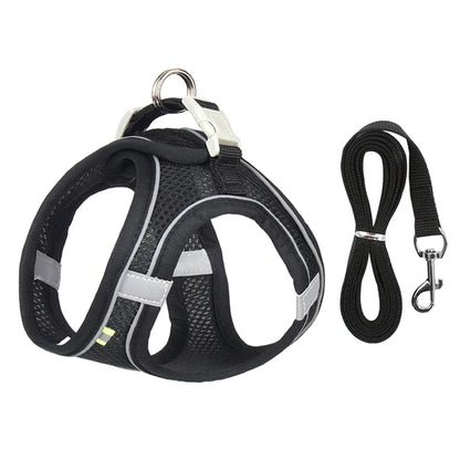 Puppy Harness Set – Adjustable Comfort & Safety for Small Dogs and Cats