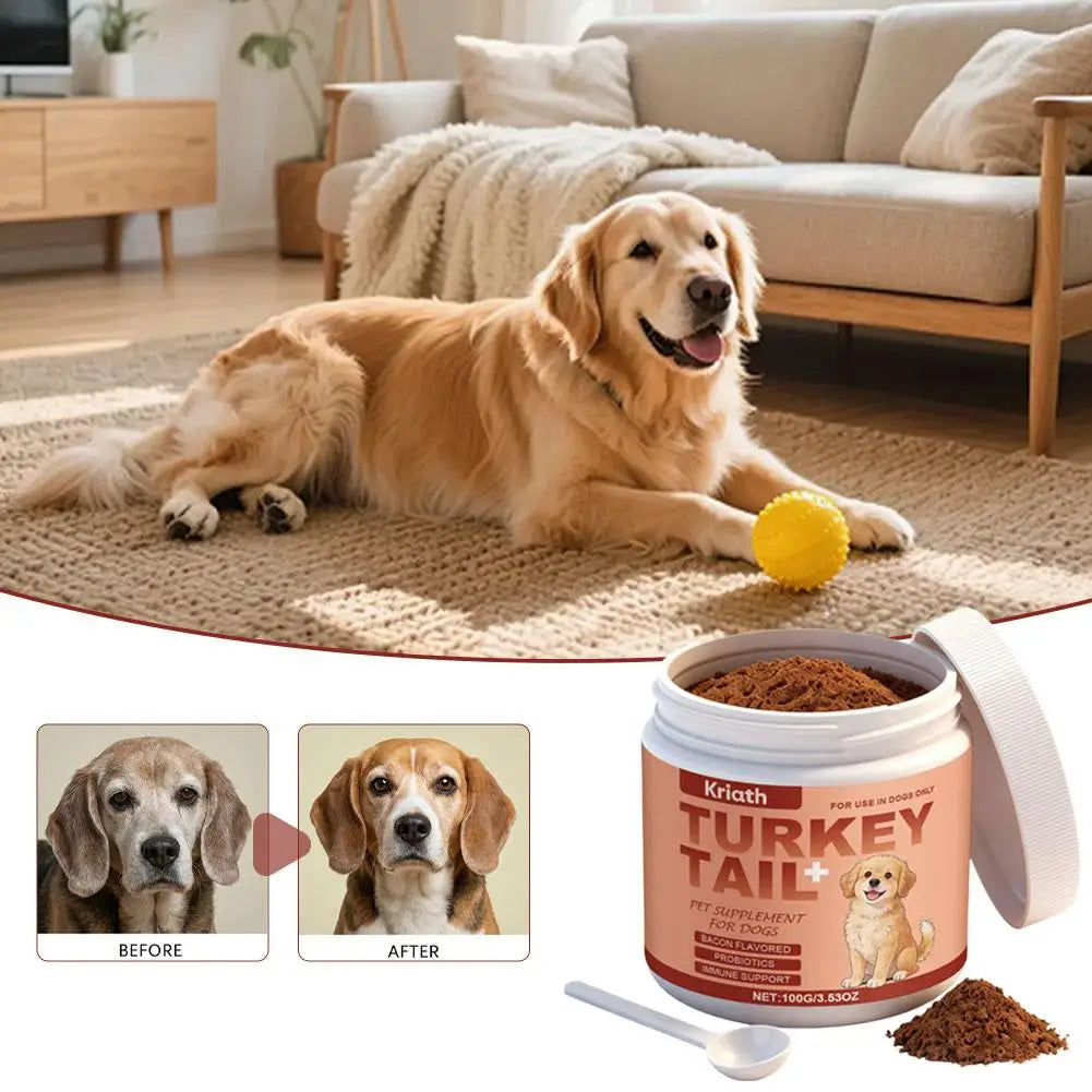 Bacon-Flavored Probiotic for Dogs – Health and Vitality